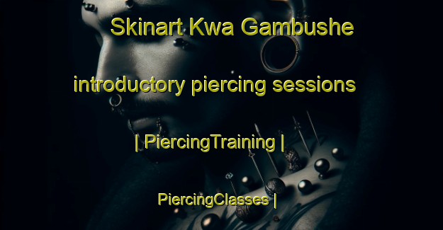 Skinart Kwa Gambushe introductory piercing sessions | PiercingTraining | PiercingClasses | SkinartTraining-South Africa